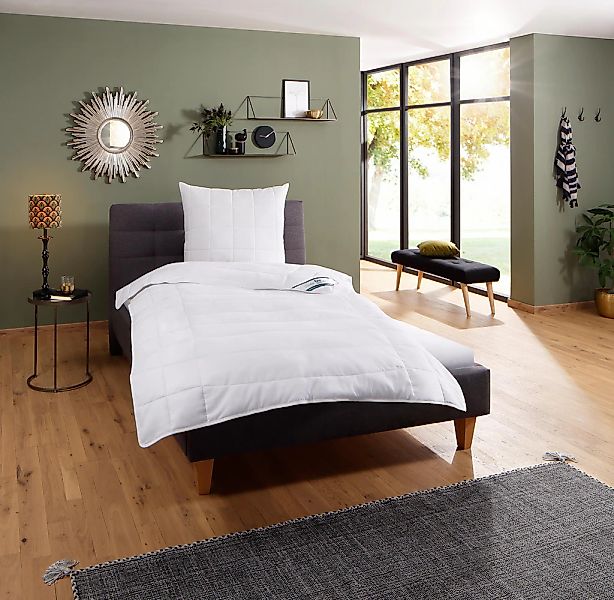 fan Microfaserbettdecke "Komfort Plus" leicht 1 Stk. tlg. zu jeder Jahresze günstig online kaufen