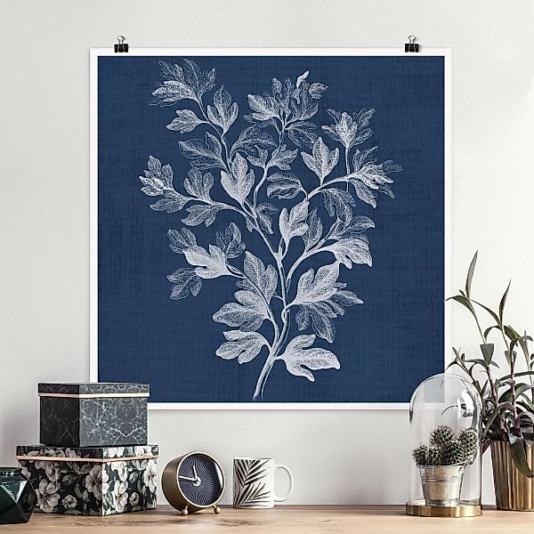 Poster Blumen - Quadrat Denim Pflanzenstudie I günstig online kaufen