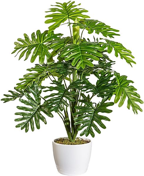 Kunstpflanze Monstera, andas, Höhe 50 cm, günstig online kaufen