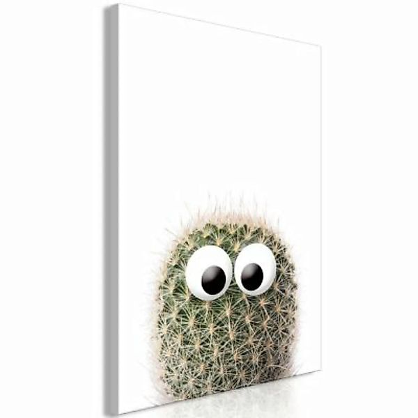 artgeist Wandbild Cactus With Eyes (1 Part) Vertical mehrfarbig Gr. 40 x 60 günstig online kaufen