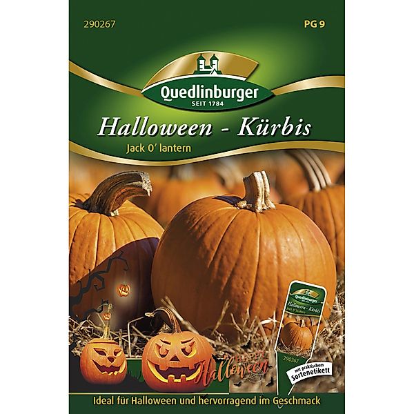 Quedlinburger Halloween-Kürbis ''Jack O''Lantern'' günstig online kaufen
