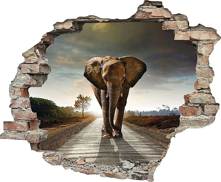 queence Wandtattoo Elefant (1 St), Wandsticker, günstig online kaufen