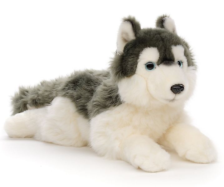 Uni-Toys Kuscheltier Husky grau, liegend - 38 cm (Länge) - Plüsch-Hund - Pl günstig online kaufen
