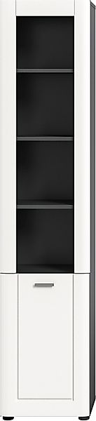 INOSIGN Hochschrank »Jarvi, Breite 40 cm, 1 Tür (Türanschlag wechselbar), 4 günstig online kaufen