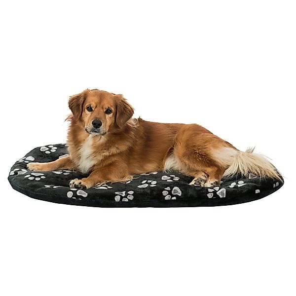 TRIXIE Tierkissen Kissen Jimmy schwarz für Hunde günstig online kaufen