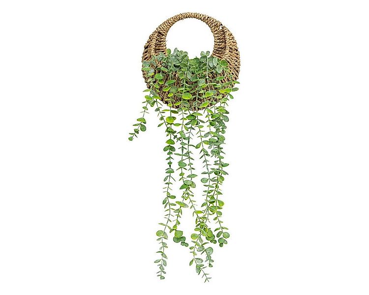 Kunstpflanze Künstlicher Eukalyptus in geflochtenem Topf, 70 cm Zimmerpflan günstig online kaufen
