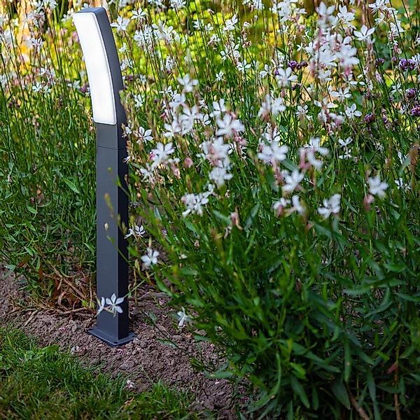 LED Wegleuchte Kira in Anthrazit 18W 1200lm IP54 günstig online kaufen