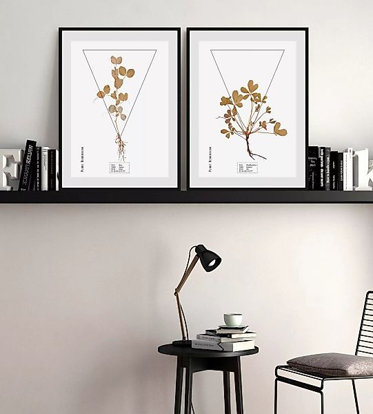 queence Bild "Trifolium", (1 St.) günstig online kaufen