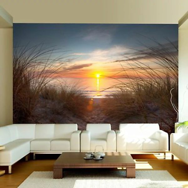 artgeist Fototapete Sonnenuntergang am Atlantik mehrfarbig Gr. 250 x 193 günstig online kaufen
