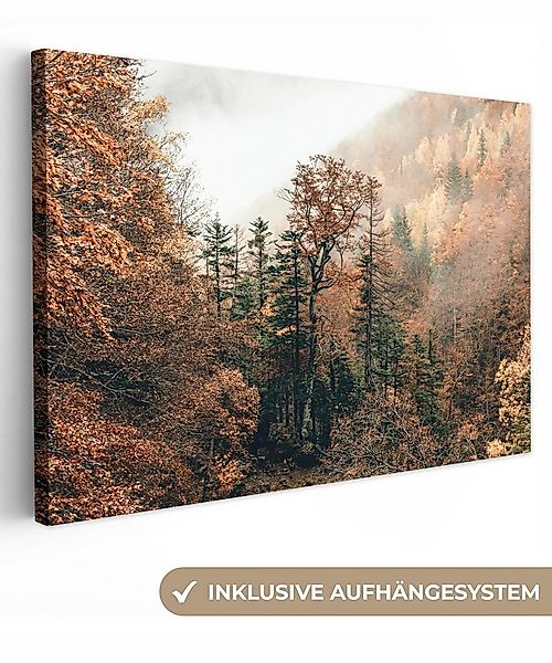 OneMillionCanvasses® Leinwandbild Natur - Wald - Nebel - Herbst, Fotodruck günstig online kaufen