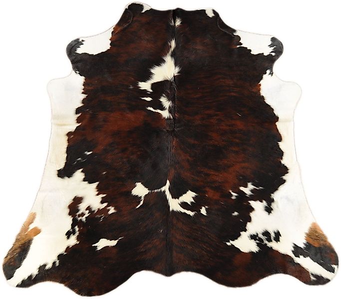 KUHFELL online & NOMAD Fellteppich KUHFELL RINDER FELL TEPPICH BRAUN WEISS günstig online kaufen