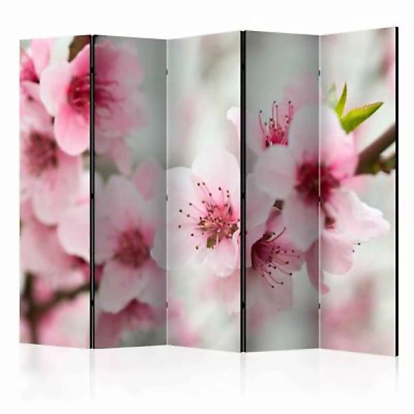 artgeist Paravent Spring, blooming tree - pink flowers II [Room Dividers] m günstig online kaufen