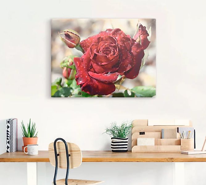 Artland Wandbild »Tröpfchenrose«, Blumen, (1 St.) günstig online kaufen