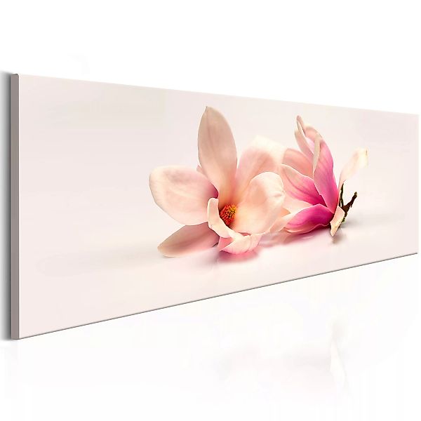 Wandbild - Beautiful Magnolias günstig online kaufen