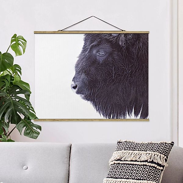 Stoffbild mit Posterleisten Schwarzer Büffel im Portrait günstig online kaufen