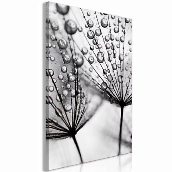 artgeist Wandbild Morning Dew (1 Part) Vertical schwarz/weiß Gr. 40 x 60 günstig online kaufen