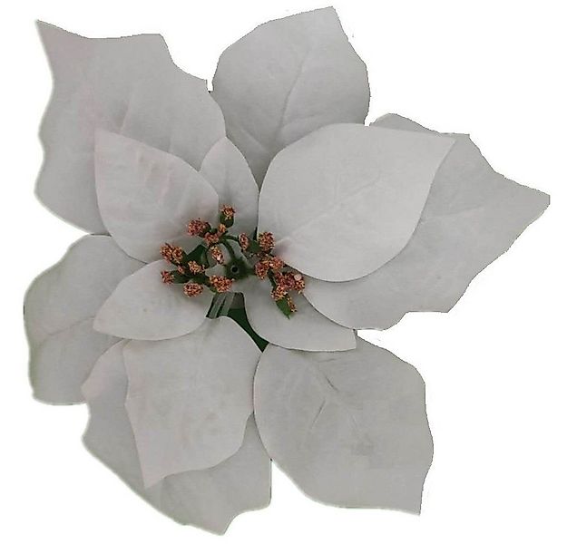 Kunstblume *Seiden-Blüte Weihnachtsstern weiß auf Metall-Clip zur Dekoratio günstig online kaufen