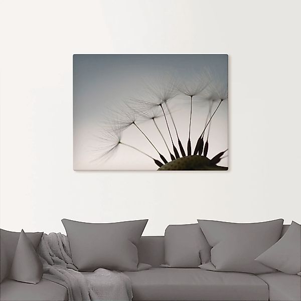 Artland Wandbild "Pusteblumen-Samen I", Blumen, (1 St.), als Alubild, Outdo günstig online kaufen