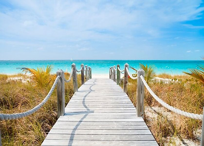 Papermoon Fototapete »Dunes Carribean Beach« günstig online kaufen