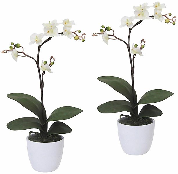 Kunstpflanze Orchidee Phalaenopsis Orchidee, Creativ green, Höhe 55 cm, im günstig online kaufen