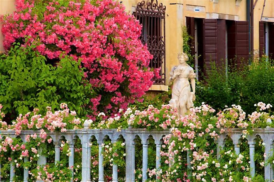 Papermoon Fototapete »GARTEN-BLUMEN BÄUME PFLANZEN STEINE WALD PERGOLA BLÜT günstig online kaufen