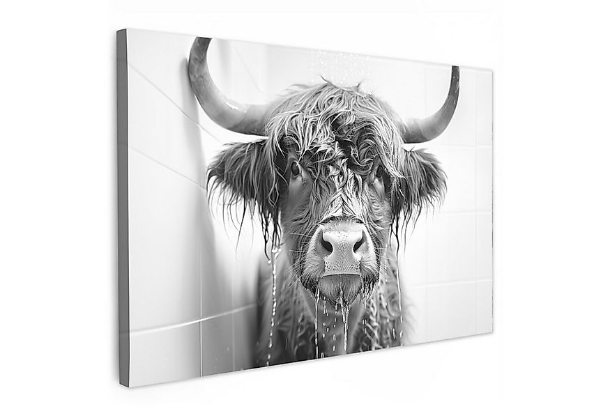 OneMillionCanvasses® Leinwandbild Schottischer Highlander - Tier - Dusche - günstig online kaufen