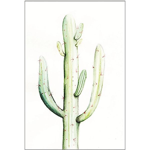 Komar Wandbild Saguaro Watercolor 30 x 40 cm günstig online kaufen