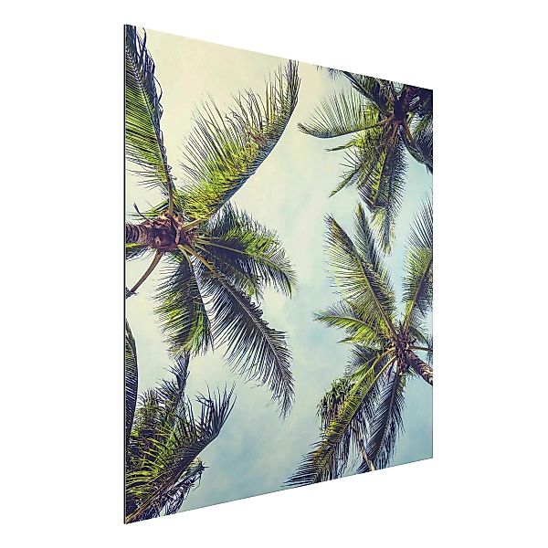 Alu-Dibond Bild Die Palmen günstig online kaufen