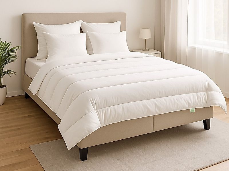 Dreamstar Microfaserbettdecke Eco, Bettdecken 2er-Set - 4-Jahreszeiten, Gan günstig online kaufen