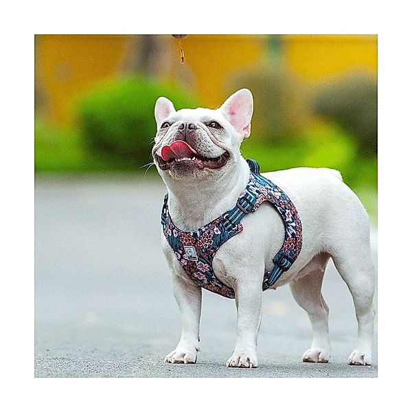 Truelove Hunde-Geschirr Geschirr Floral Navy Blazer blau günstig online kaufen