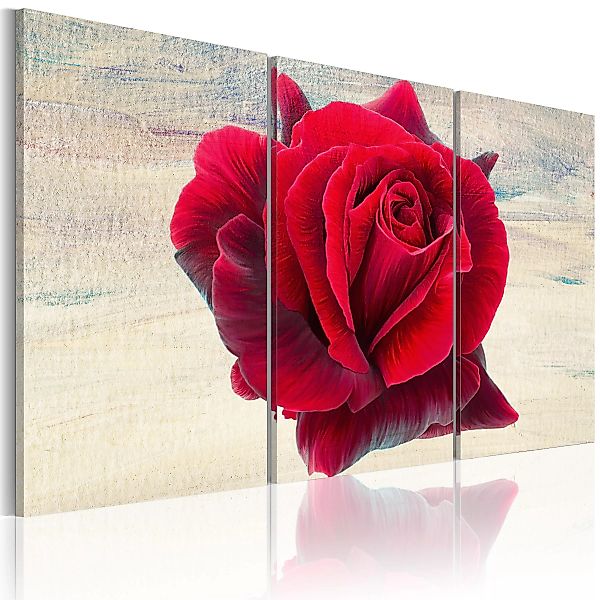 Wandbild - Lyrical rose günstig online kaufen