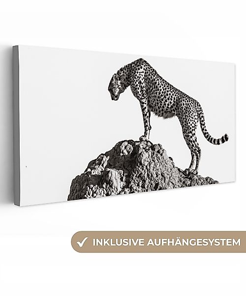 OneMillionCanvasses® Leinwandbild Panorama Raubtier - Panther günstig online kaufen