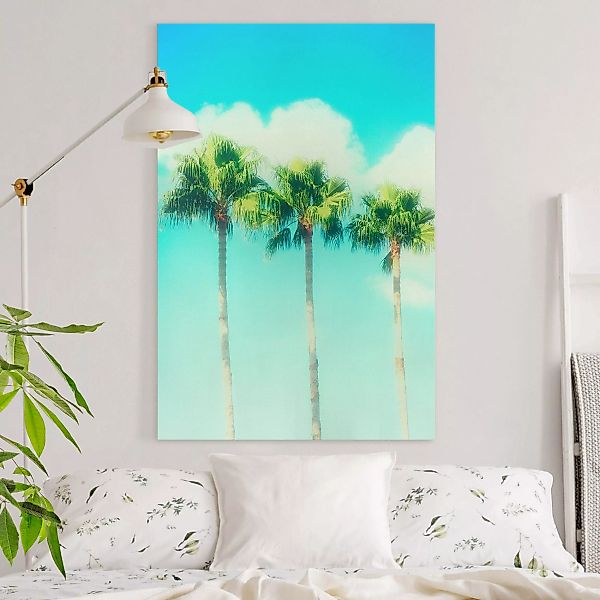 Leinwandbild Palmen vor Himmel Blau günstig online kaufen