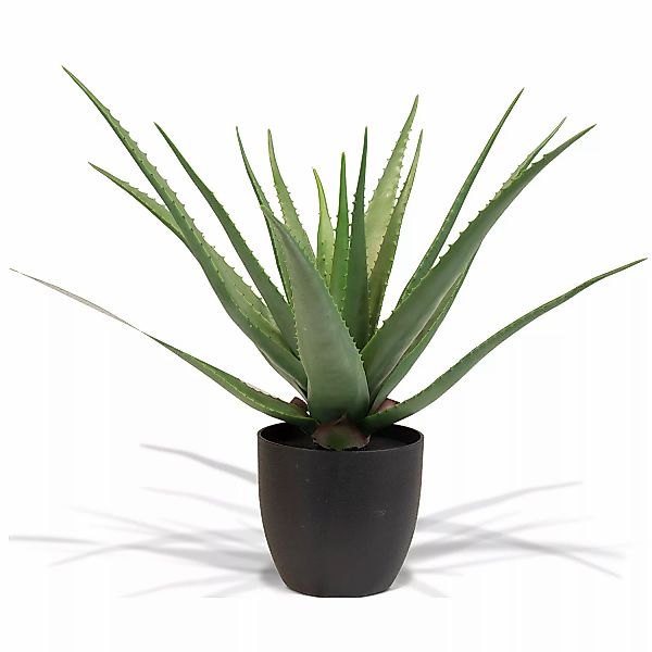 Aloe Vera Kunstpflanze, Höhe 65 cm günstig online kaufen