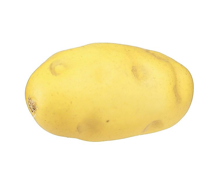 Kunstpflanze Künstliche Kartoffel als täuschend echte Dekoattrappe für, Via günstig online kaufen