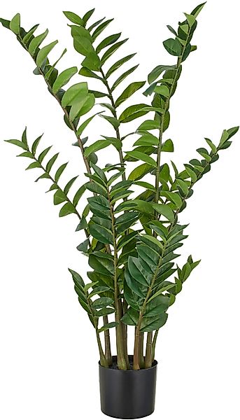 Kunstpflanze Zamifolia, Creativ green, Höhe 110 günstig online kaufen