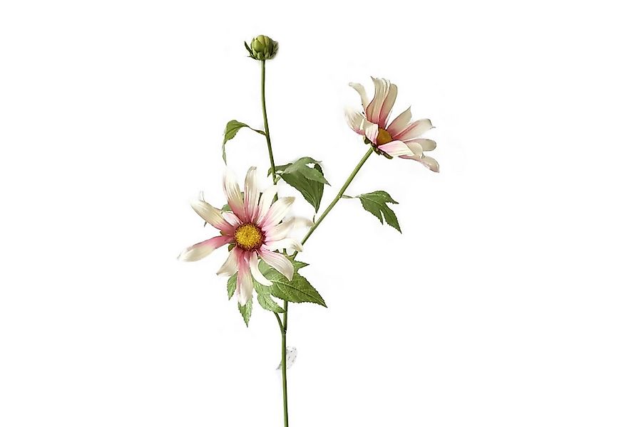 Kunstblume Chrysantheme 74 cm Hellrosa Chrysantheme, HTI-Living, Höhe 74 cm günstig online kaufen