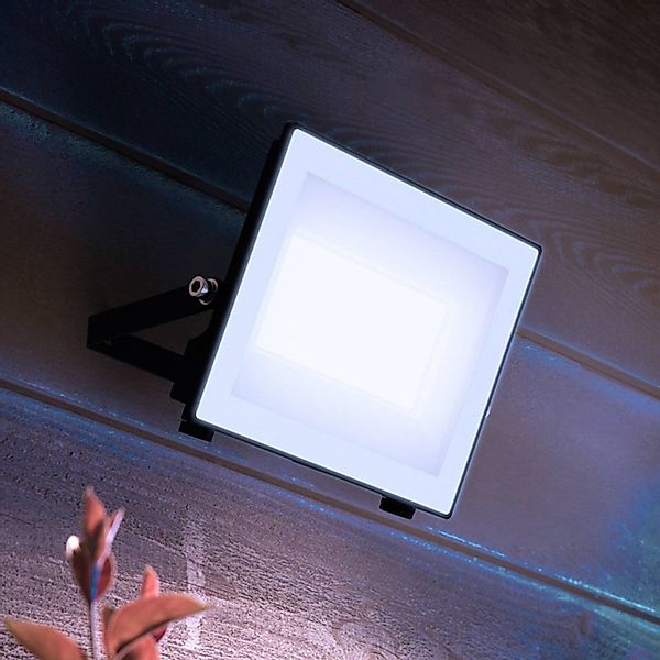 Philips LED-Außenstrahler Lois UE flood, 24 W, 5.000 K, IP65 günstig online kaufen