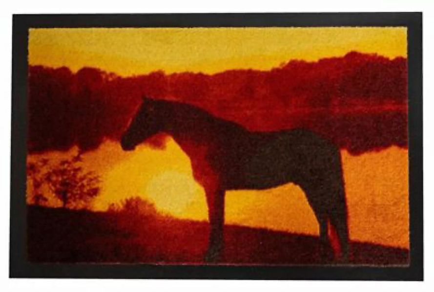 Dekowe Türmatte Pferde im Sonnenuntergang  bunt Gr. one size günstig online kaufen