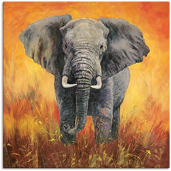 Artland Wandbild "Porträt Elefant", Elefanten Bilder, (1 St.), als Alubild, günstig online kaufen