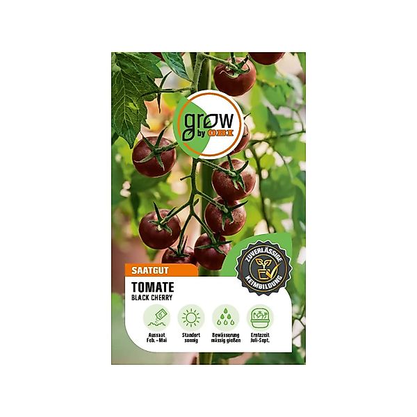GROW by OBI Tomaten Black Cherry günstig online kaufen