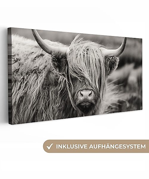 OneMillionCanvasses® Leinwandbild Panorama Schottischer Highlander - günstig online kaufen