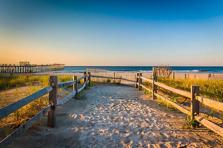 Papermoon Fototapete »Dunes Atlantic Ocean« glatt günstig online kaufen