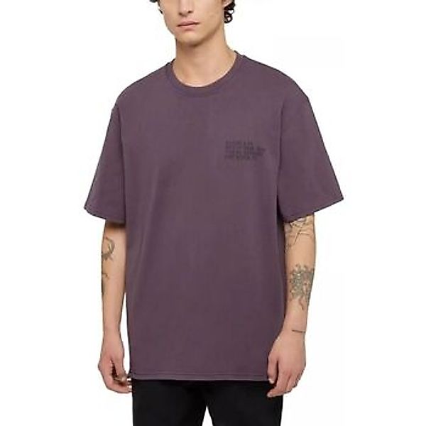 Dickies  T-Shirts & Poloshirts STAMP TEE - DK0A863H-J561 günstig online kaufen