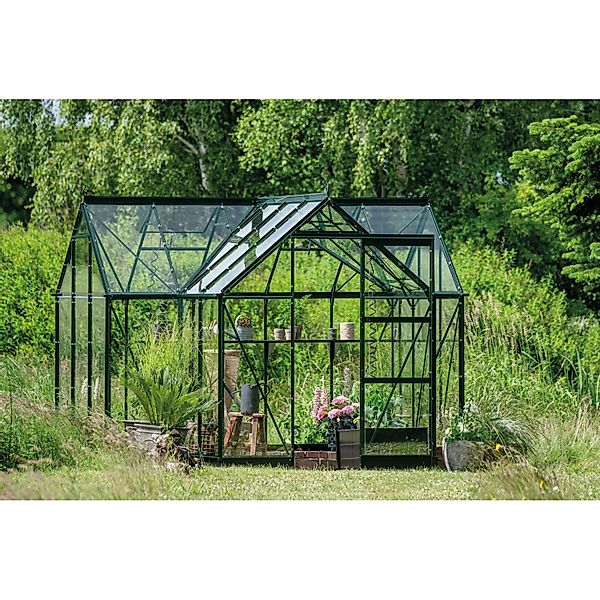 Halls Gewächshaus Icon Gardenhouse 6 Grün 8,6 m² günstig online kaufen