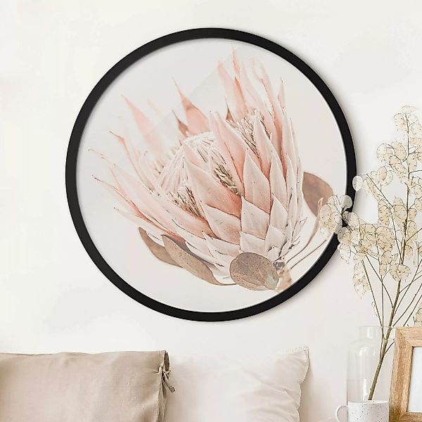Rundes Gerahmtes Bild Protea Königin der Blüten günstig online kaufen