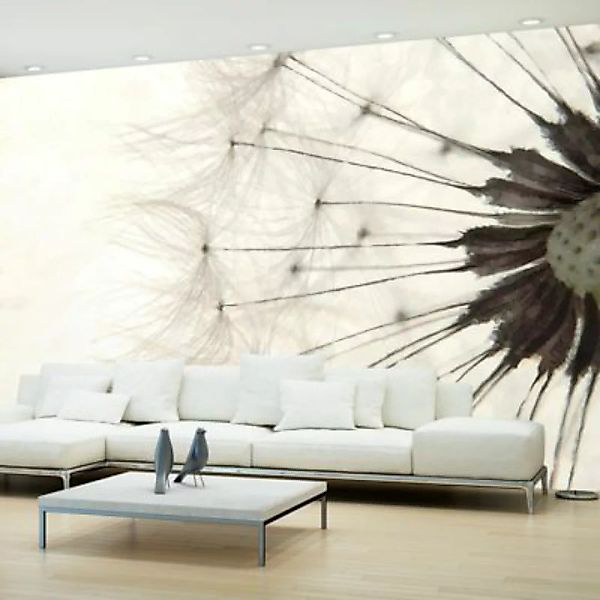 artgeist Fototapete White Dandelion grau/beige Gr. 250 x 175 günstig online kaufen