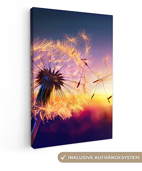 OneMillionCanvasses® Leinwandbild Löwenzahn - Blumen - günstig online kaufen