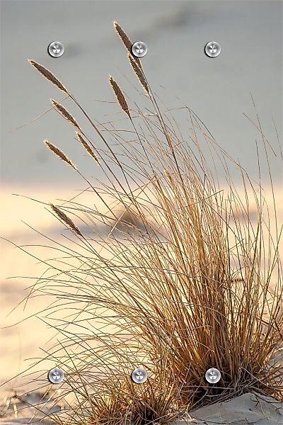 queence Garderobenleiste "Strand" mit 6 Haken, 80 x 120 cm günstig online kaufen