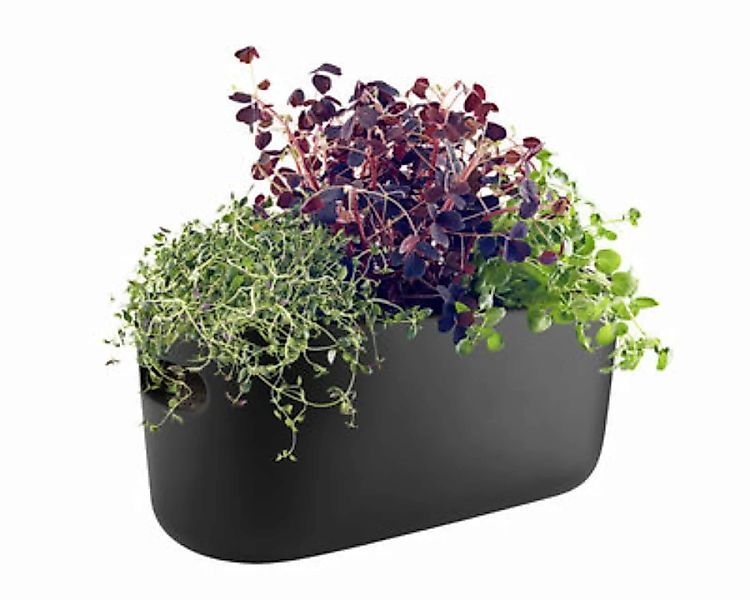 Blumentopf mit Wasserreservoir Herb keramik schwarz / Kräuter-Pflanztopf - günstig online kaufen